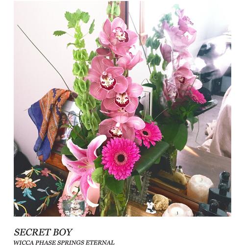 Secret Boy - Doublemint Green - Vinyl LP