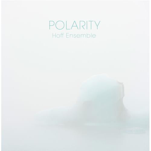 Polarity - Vinyl LP