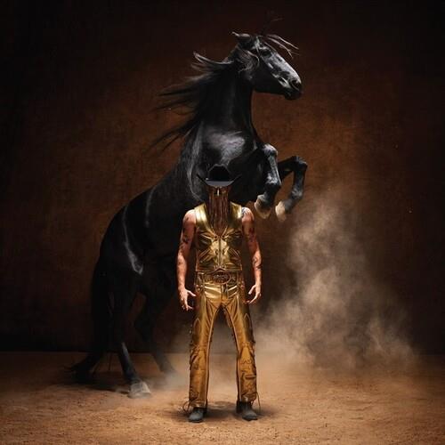 Gold-clad figure with fringed mask standing before a rearing black horse