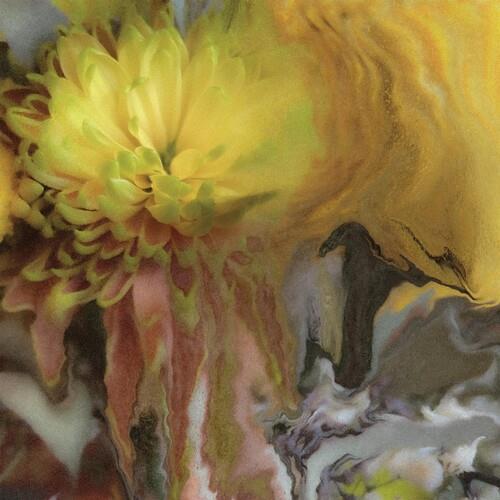 Wilderness Within You - Vinyl LP