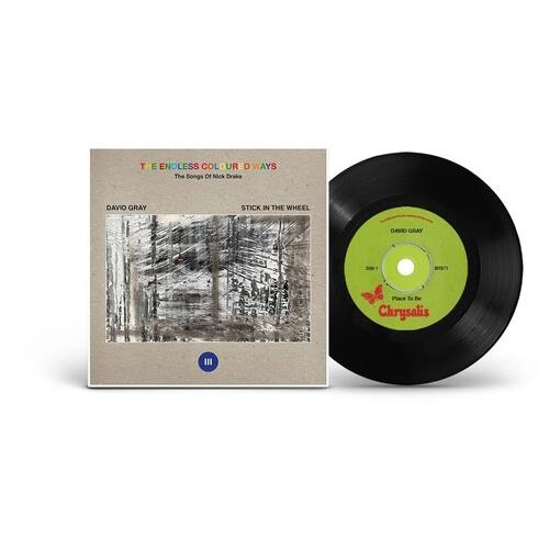 The Endless Coloured Ways: The Songs of Nick Drake - David Gray - 7-Inch Single