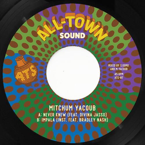 Never Knew - 7-Inch Single