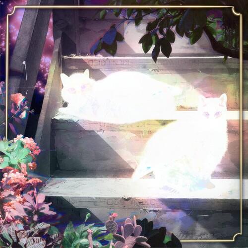 Retinal Bloom - Vinyl LP