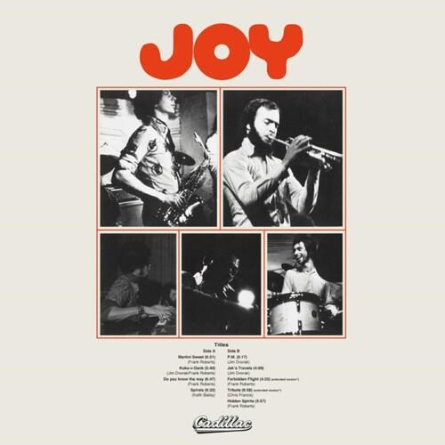 Joy - Vinyl LP