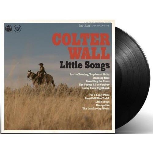 Little Songs - Vinyl LP