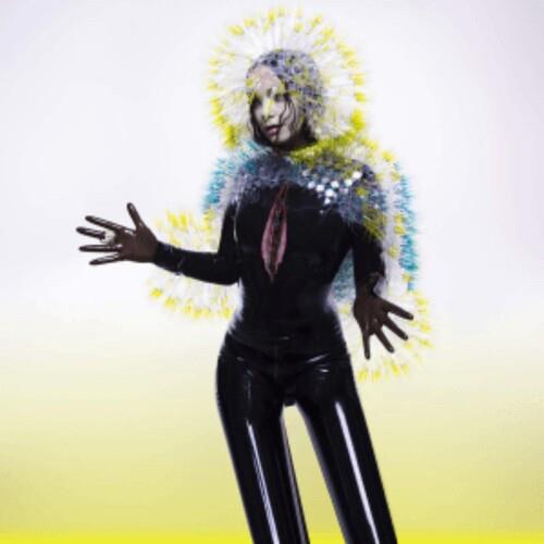 Vulnicura - Vinyl LP