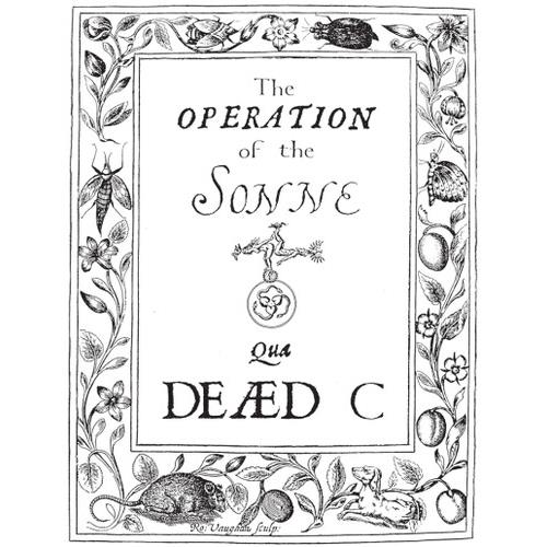 Operation Of The Sonne - Vinyl LP