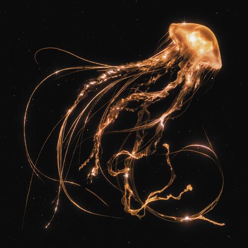 Back To The Water Below - Vinyl LP