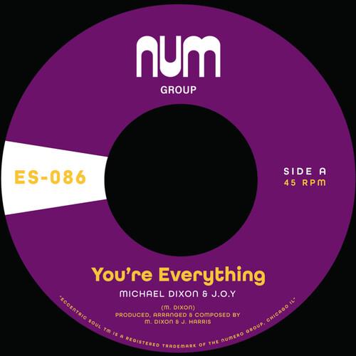 You're Everything B/w You're All I Need - 7-Inch Single