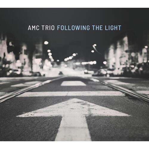 Following The Light - Vinyl LP