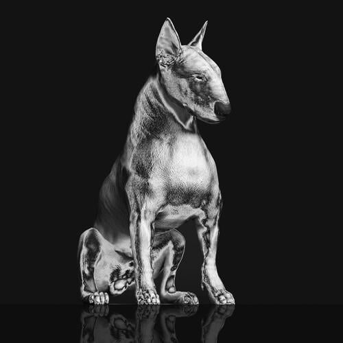 Platinum Statue - Vinyl LP