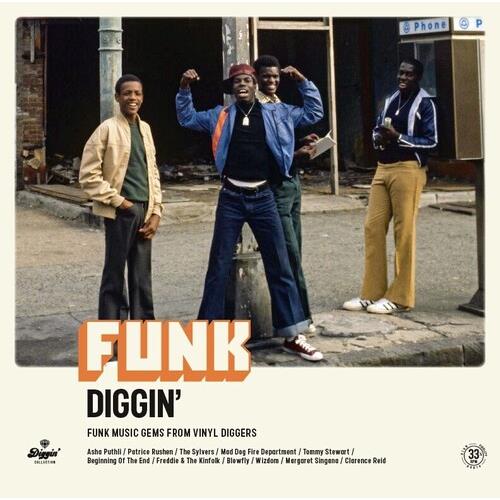 Funk Diggin / Various - Vinyl LP