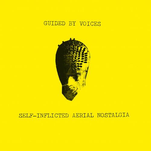 Self-inflicted Aerial Nostalgia - Vinyl LP