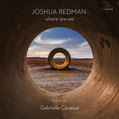 Where Are We - Vinyl LP 180 Gram