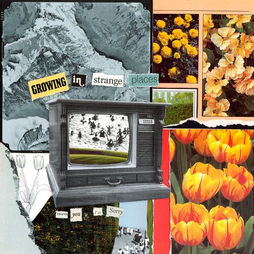 Growing In Strange Places - Orange Crush - Vinyl LP (Orange)