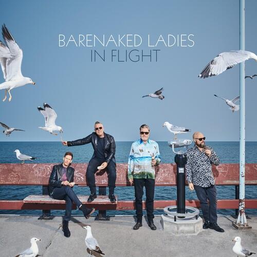 In Flight - Vinyl LP