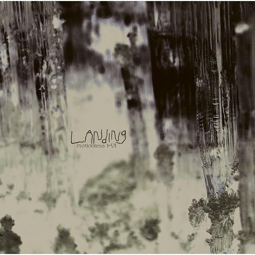 Motionless I-vi - Vinyl LP 180 Gram