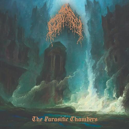 The Parasitic Chambers - Vinyl LP