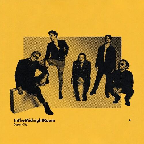 In The Midnight Room - Vinyl LP