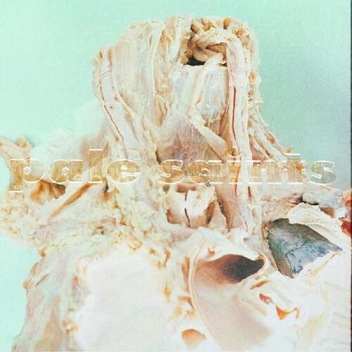 In Ribbons - Vinyl LP