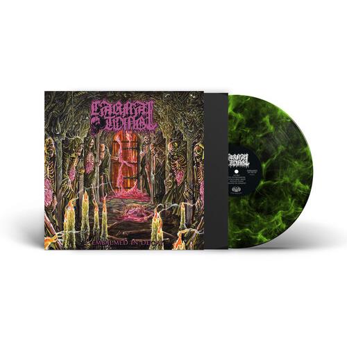 Embalmed In Decay - Lime/Black Marbled - Limited Edition Vinyl LP