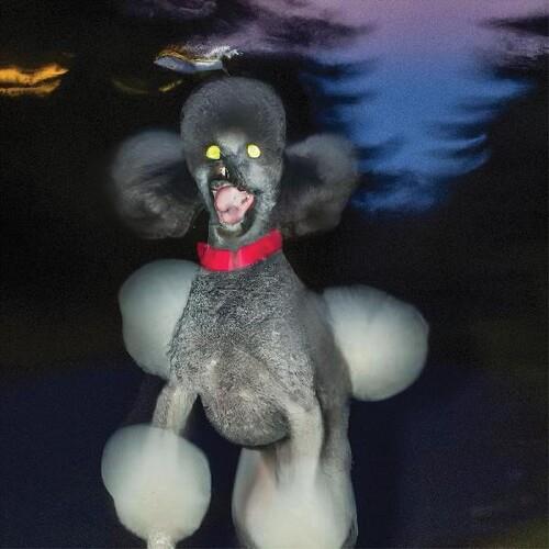 A Dog A Deer A Seal - Vinyl LP