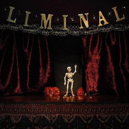 Liminal - Vinyl LP