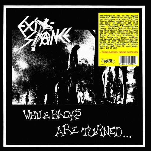 While Backs Are Turned - Vinyl LP