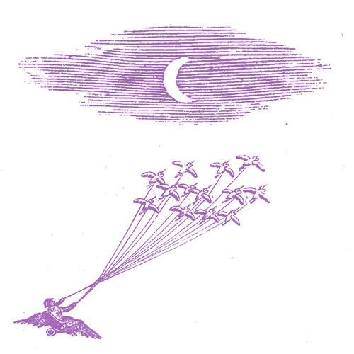 Migration Magic - Vinyl LP