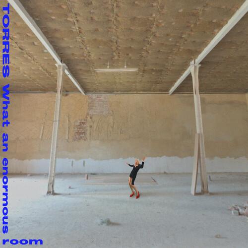 What An Enormous Room - Limited Edition Vinyl LP (Blue/White)