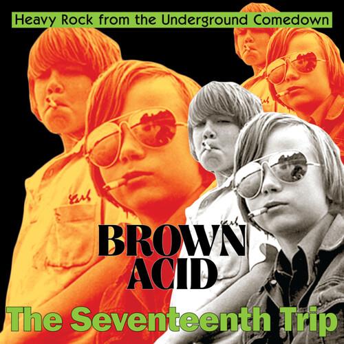 Brown Acid - The Seventeenth Trip (Various Artists) - Vinyl LP