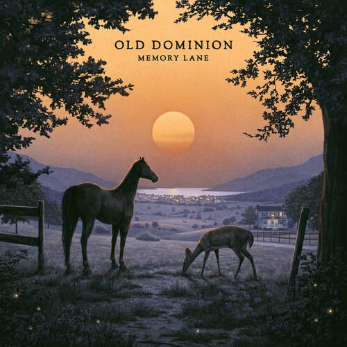 Memory Lane - Vinyl LP 150 Gram