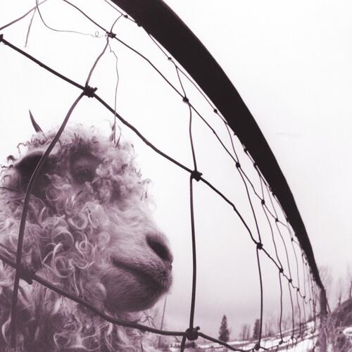 Vs. (30th Anniversary Edition) - Anniversary Edition Vinyl LP