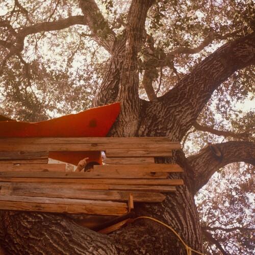 Waiting To Spill (Anniversary Edition) - Anniversary Edition Vinyl LP 180 Gram (Ruby)