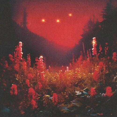 Superbloom - Vinyl LP