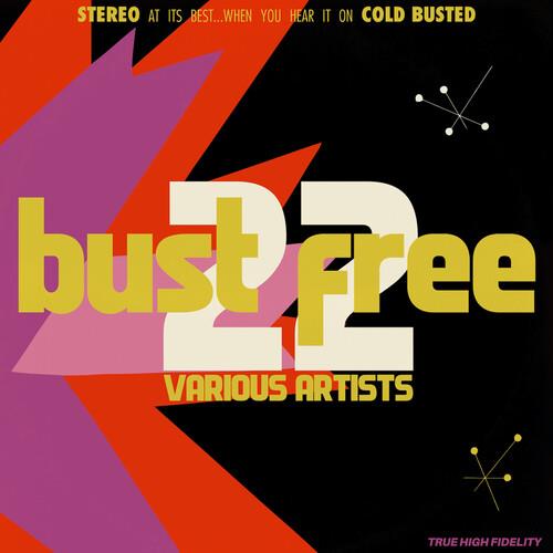 Bust Free 22 (Various Artists) - Vinyl LP