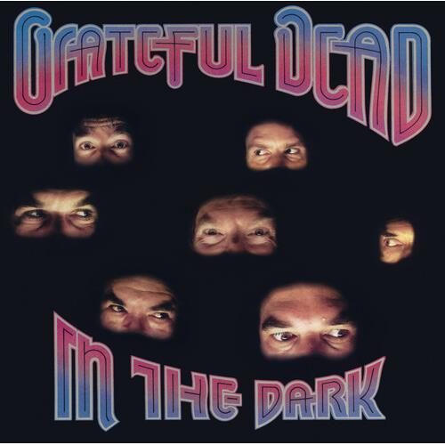 In The Dark - Vinyl LP (Silver)