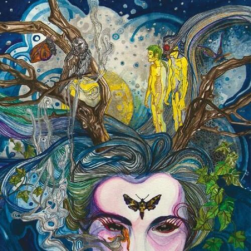 Pictures In A Dream - Limited Edition Vinyl LP (Blue/Yellow)