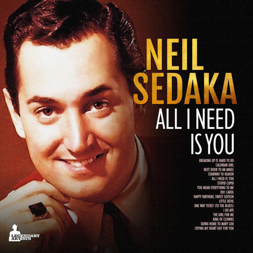 All I Need Is You - Vinyl LP