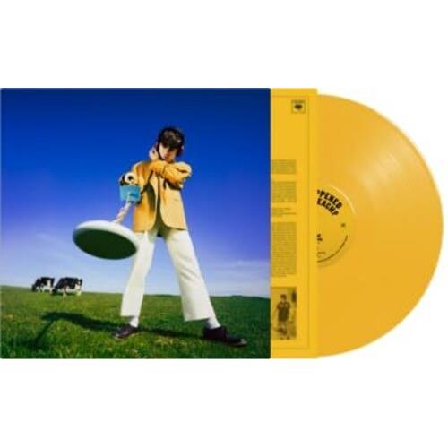 What Happened To The Beach? - Vinyl LP (Yellow)