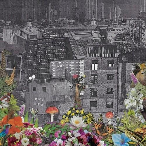 Perpetual Eden - Vinyl LP