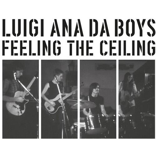 Feeling The Ceiling - Vinyl LP