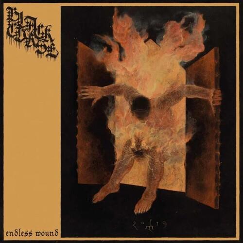 Endless Wound - Vinyl LP