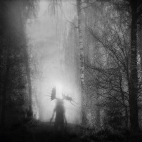 From The Infinite Light - Vinyl LP