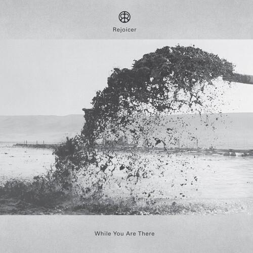 While You Are There - Vinyl LP