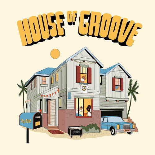 House Of Groove (Various Artists) - Vinyl LP