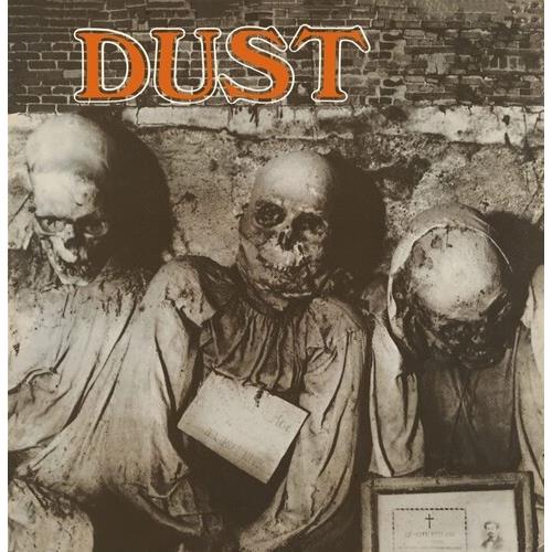 Dust - Grey Vinyl - Vinyl LP (Gray)