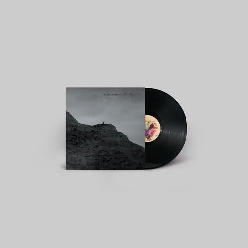 The Valley Wind - Vinyl LP