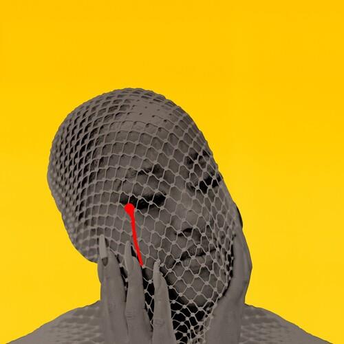 Please Don't Cry - Vinyl LP