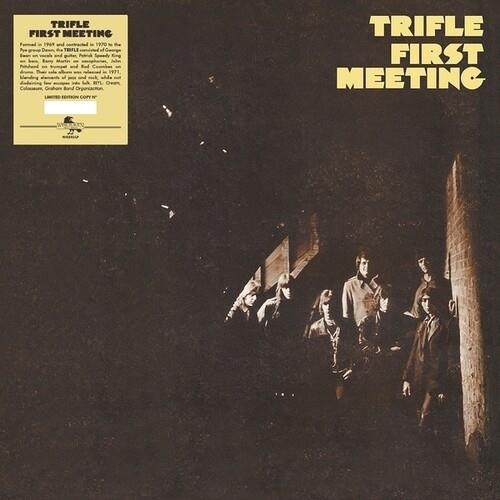 First Meeting - Vinyl LP